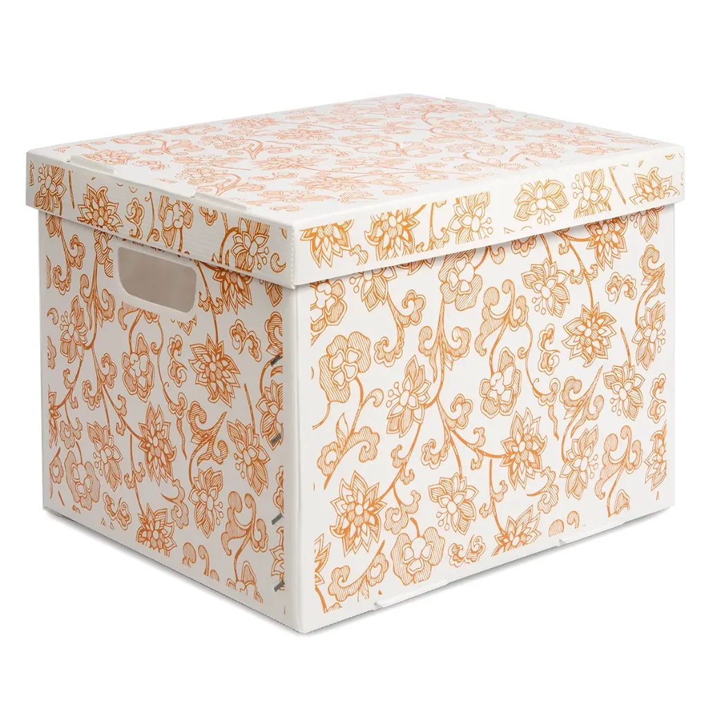 Cajas para archivo muerto individual